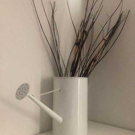Myroom Sui Portici بولونيا المظهر الخارجي الصورة